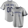 Personalized Gray & Navy Color Fan Baseball Jersey BB01240529JZ154